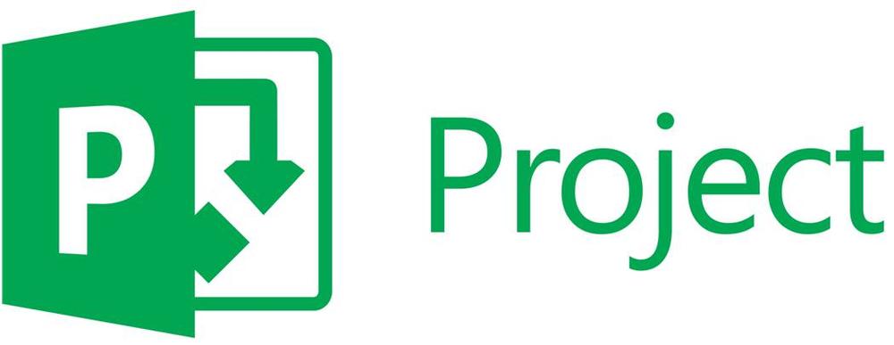 Microsoft project professional 2024 esd (descarga